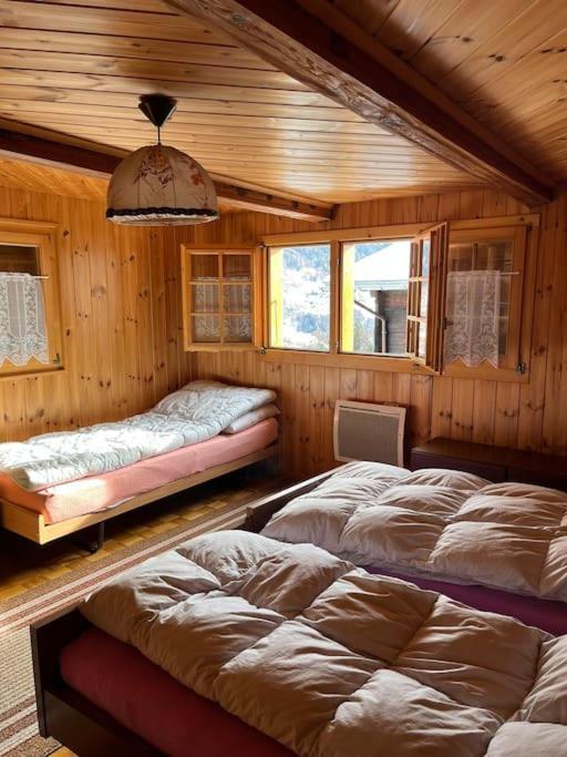 Chalet 3 Pieces De Caractere Mayoux Extérieur photo