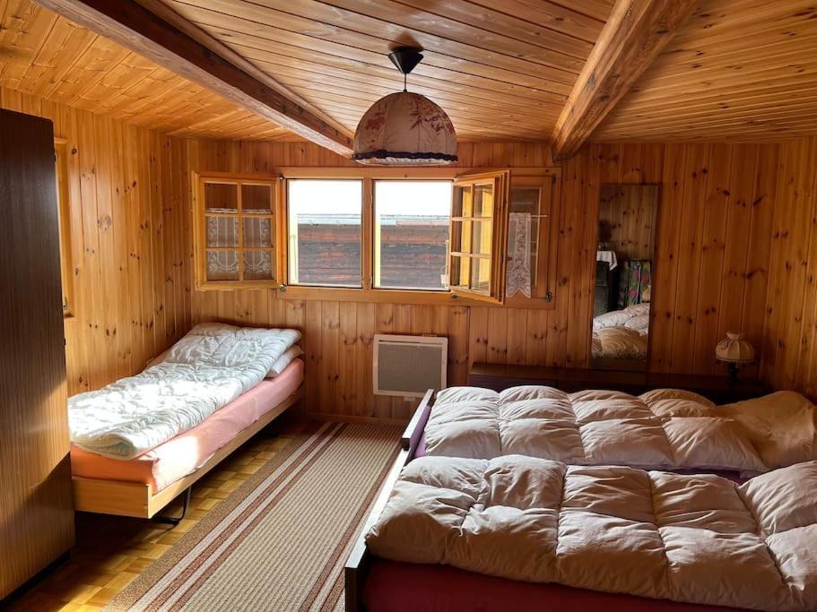 Chalet 3 Pieces De Caractere Mayoux Extérieur photo